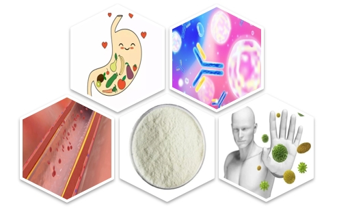Vitamin B6 Powder Functions Vitamin B6 Powder Functions