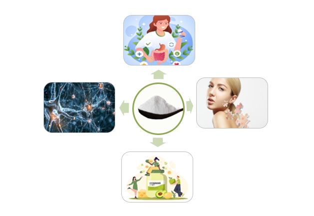 Vitamin H Powder Functions Vitamin H Powder Functions