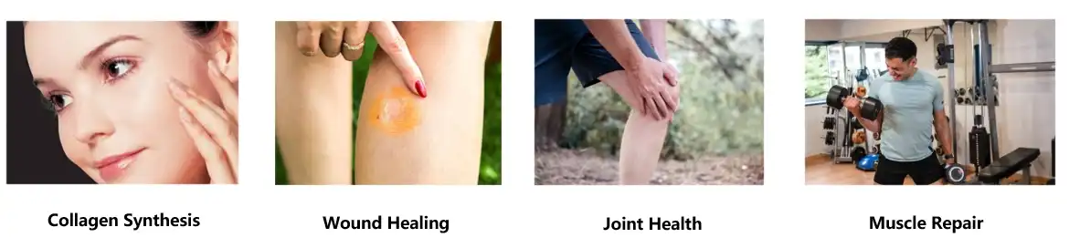 L-Proline Powder L-Proline Powder