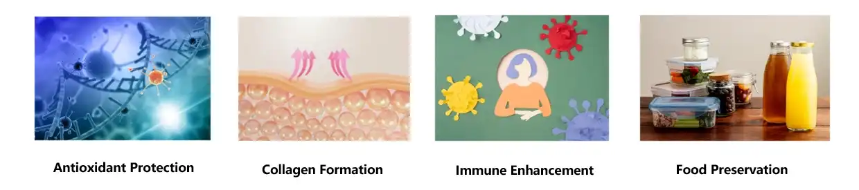 ascorbic acid powder bulk ascorbic acid powder bulk