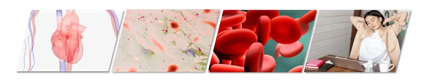 pure Folic Acid Powder pure Folic Acid Powder