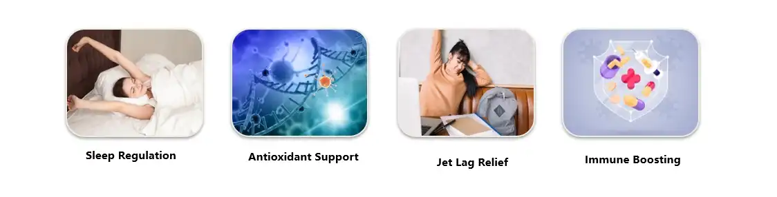 pure melatonin powder pure melatonin powder