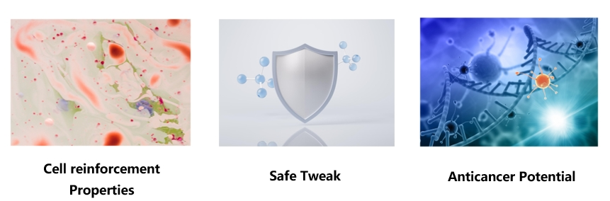 Cordycepin Extract Functions Cordycepin Extract Functions