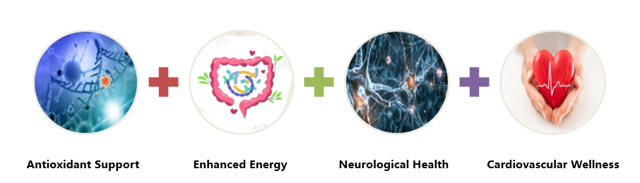 pqq powder pqq powder