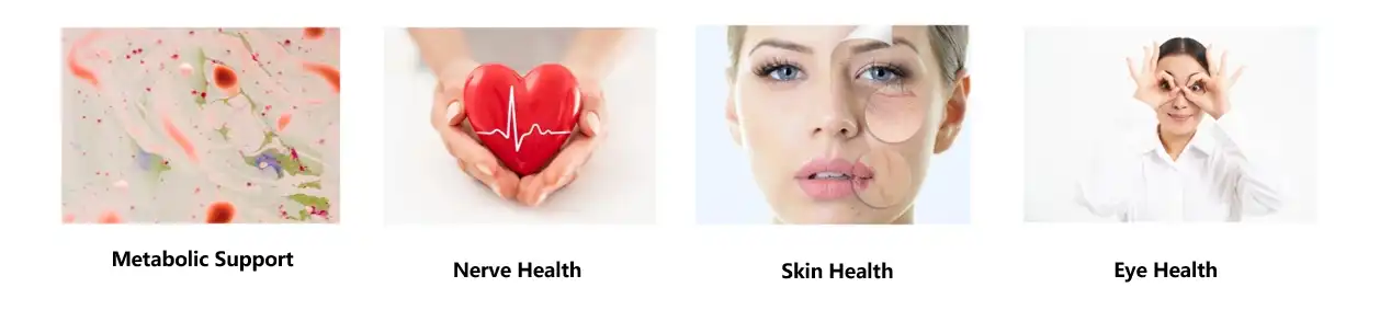 benfotiamine bulk powder benfotiamine bulk powder