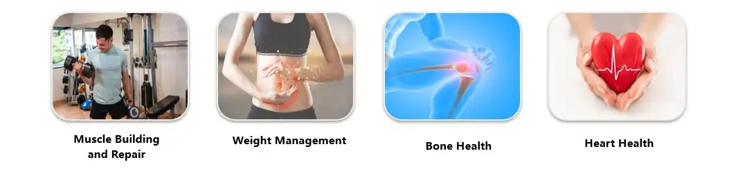 Mung Bean Protein Powder Functions Mung Bean Protein Powder Functions