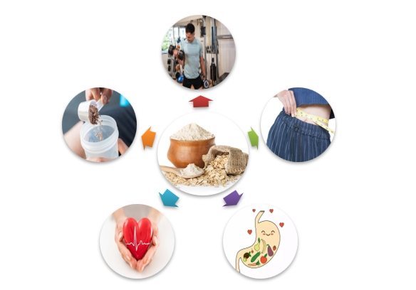 Oat protein powder Functions Oat protein powder Functions