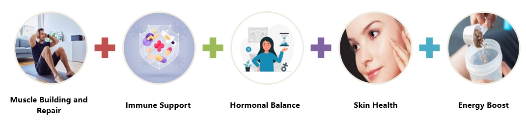 hemp seed protein powder bulk hemp seed protein powder bulk