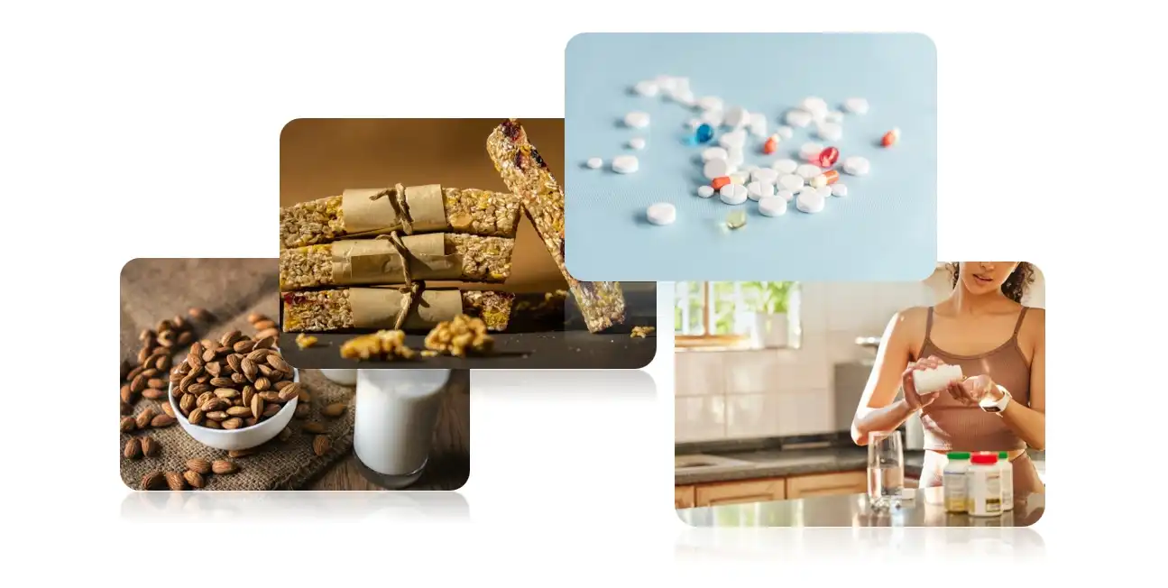 Hemp Seed Protein Powder Application Hemp Seed Protein Powder Application