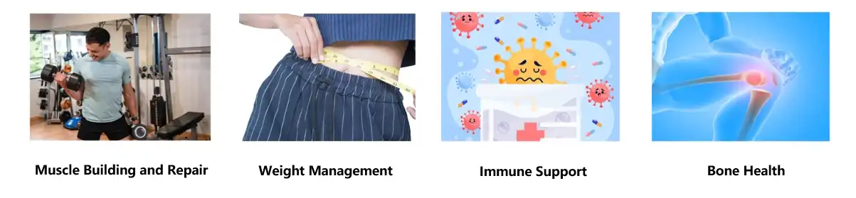 organic potato protein powder organic potato protein powder