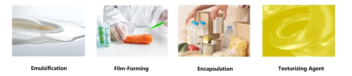 Zein Peptides Functions Zein Peptides Functions