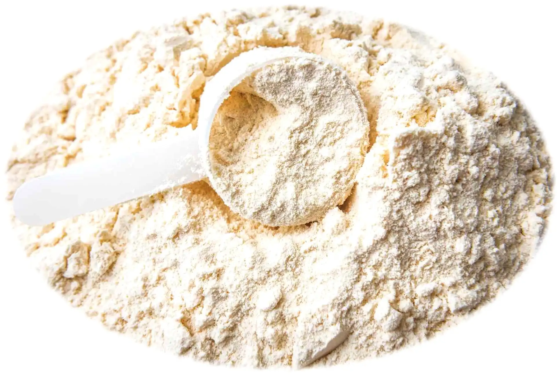 Whey Protein Whey Protein