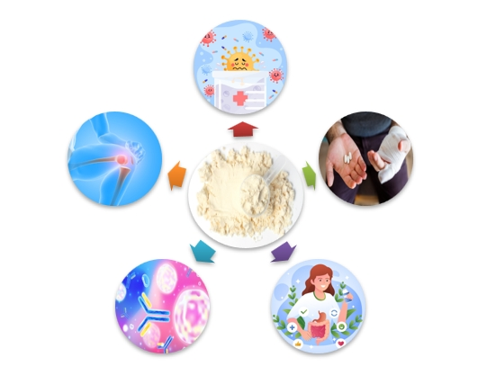 Lactoferrin Peptide Functions Lactoferrin Peptide Functions