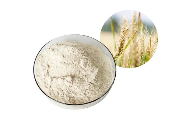 Wheat Protein Peptide Wheat Protein Peptide