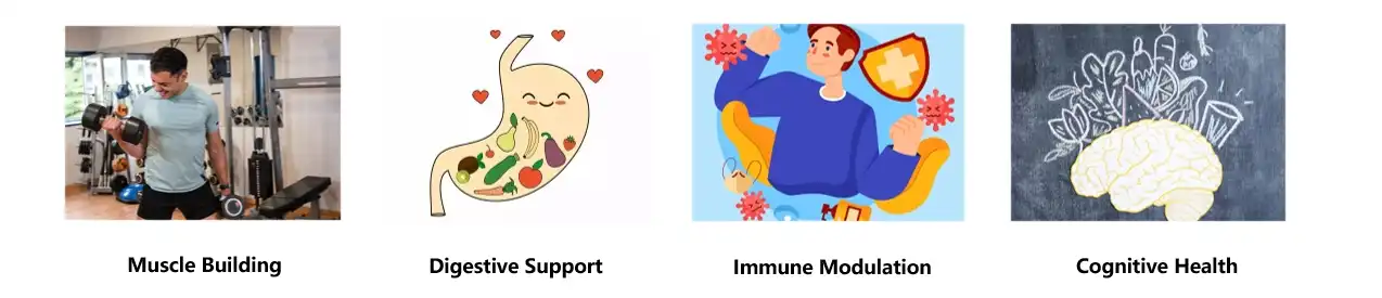 Wheat Protein Peptide Functions Wheat Protein Peptide Functions