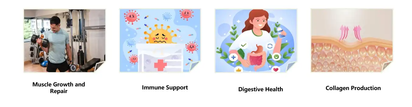 Earthworm Protein Functions Earthworm Protein Functions