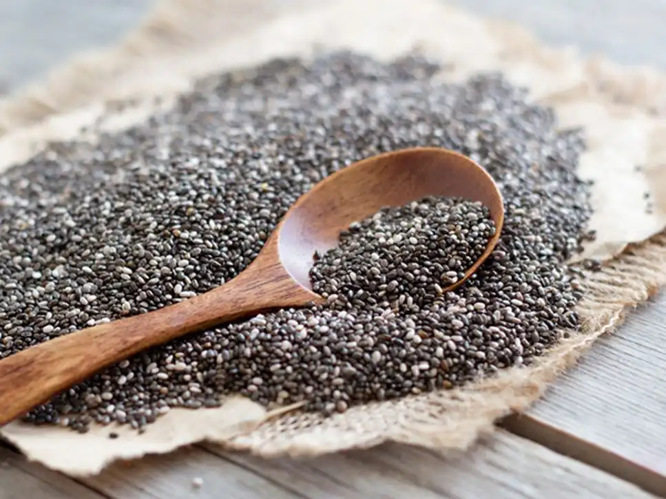 Chia Seed Protein Chia Seed Protein