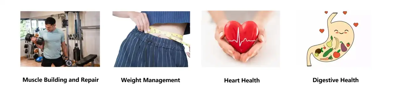 Chia Seed Protein Functions Chia Seed Protein Functions