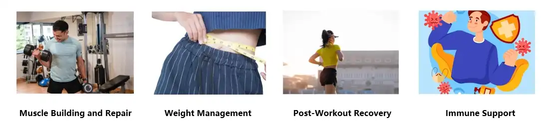 Peanut Protein Powder Functions Peanut Protein Powder Functions