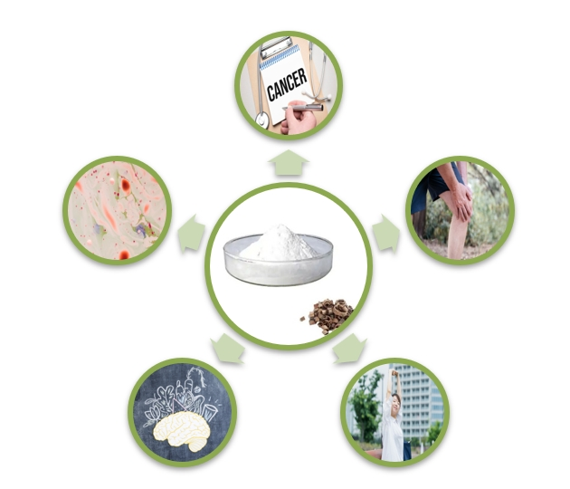 honokiol extract Functions honokiol extract Functions