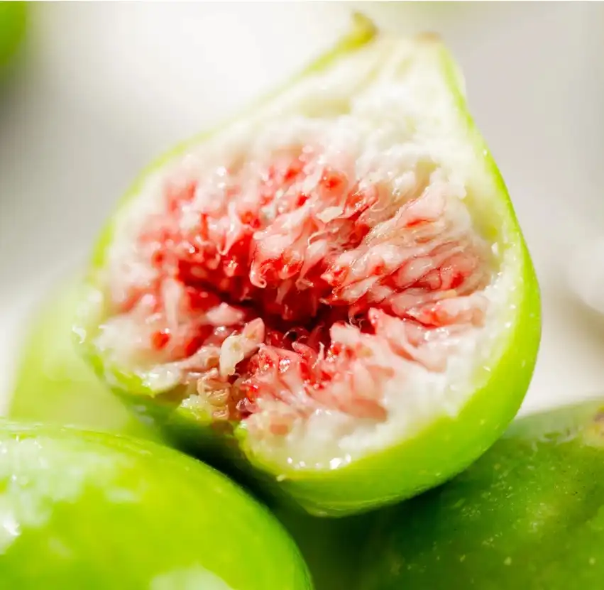 Ficus Carica Extract Ficus Carica Extract