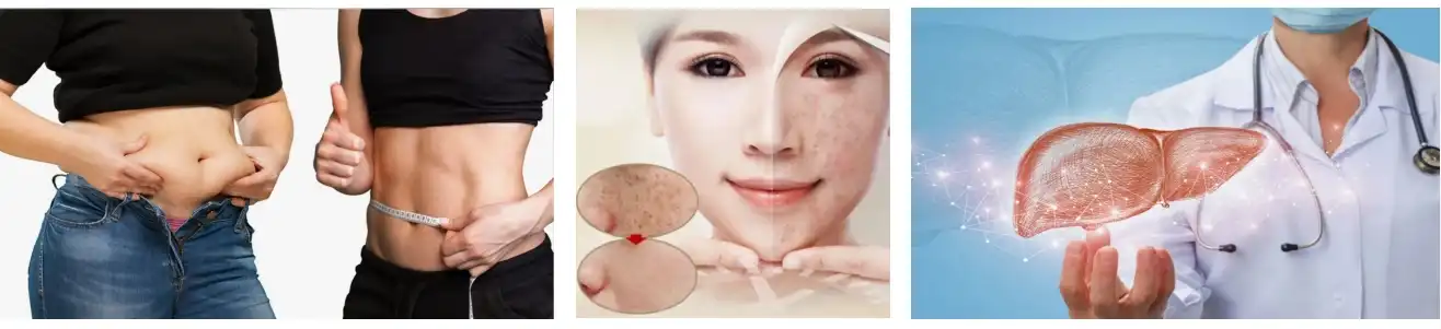 green coffee bean extract powder bulk for body health green coffee bean extract powder bulk for body health