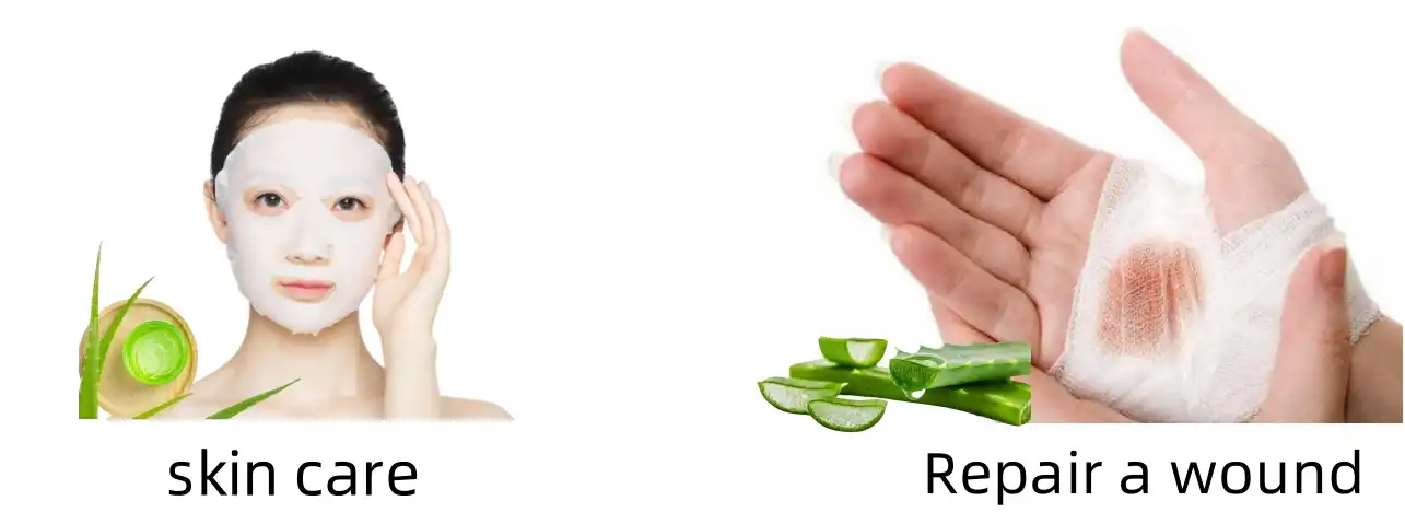 the Function of Aloe Extract Powder the Function of Aloe Extract Powder