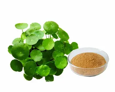 centella asiatica extract powder centella asiatica extract powder