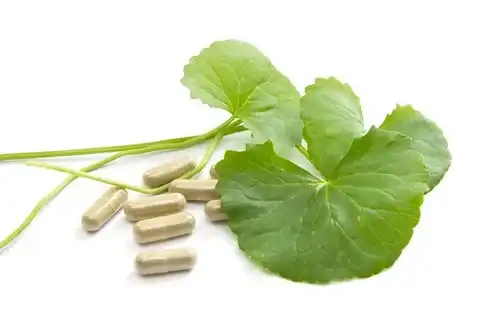 centella asiatica extract powder centella asiatica extract powder