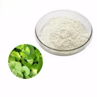 centella asiatica powder centella asiatica powder