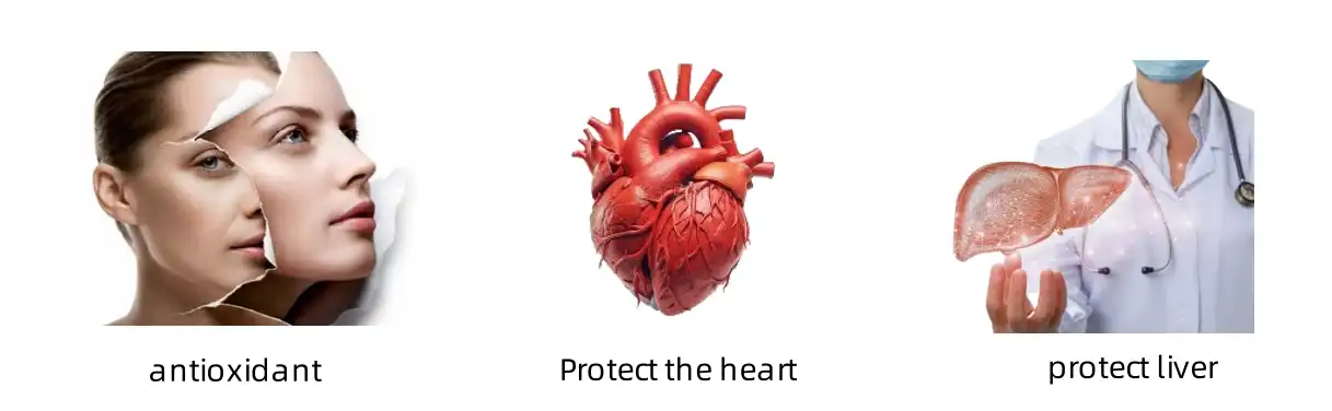 green coffee bean for health green coffee bean for health