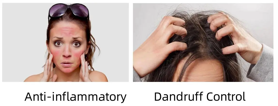 Zinc Pyrithione Powder Functions Zinc Pyrithione Powder Functions