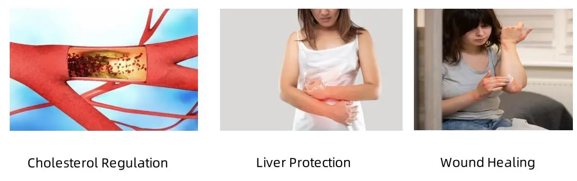 Betulin Powder Functions Betulin Powder Functions