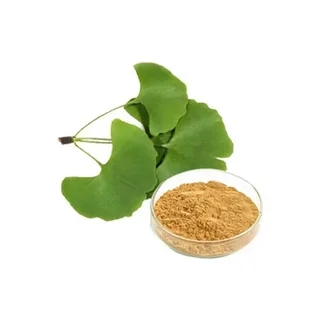 Ginkgo Biloba Extract Powder Ginkgo Biloba Extract Powder