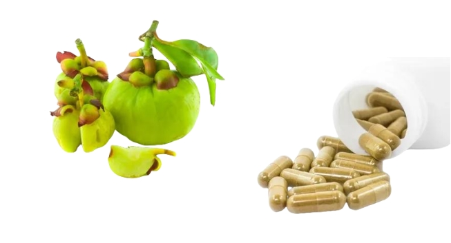 Garcinia Cambogia Extract Powder Pill Garcinia Cambogia Extract Powder Pill