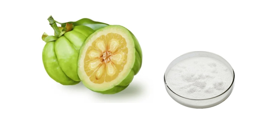 Garcinia Cambogia Extract Powder Garcinia Cambogia Extract Powder