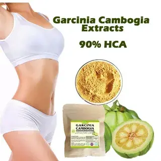Garcinia cambogia fruit extract powder  Garcinia cambogia fruit extract powder