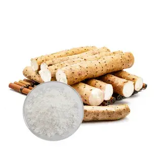 wild yam extract powder wild yam extract powder