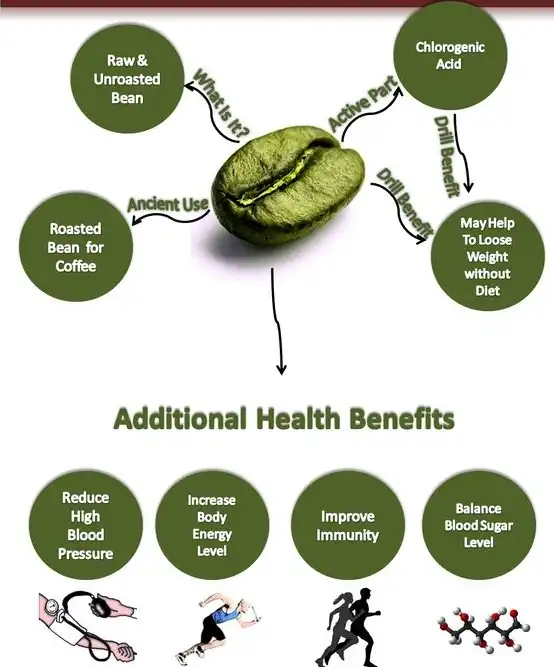 green coffee bean extract powder bulk green coffee bean extract powder bulk