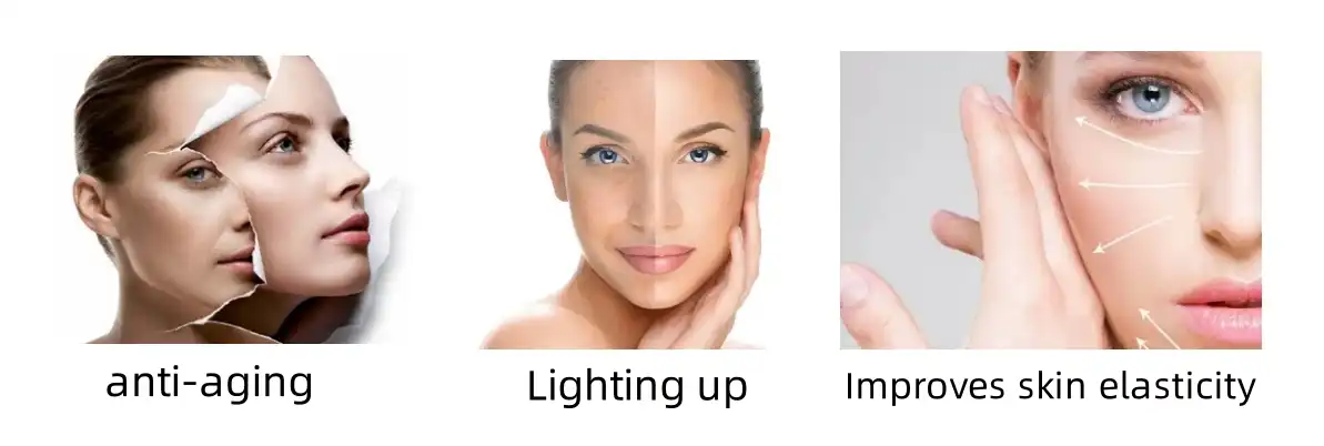 the function of sakura powder the function of sakura powder