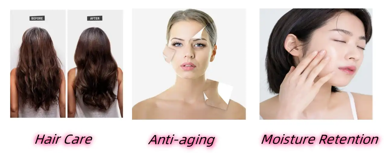 Arginine Ferulate Functions Arginine Ferulate Functions