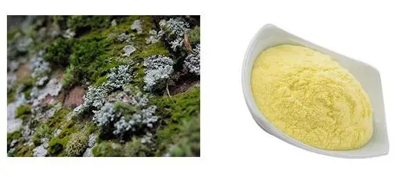 Lichen Extract Lichen Extract