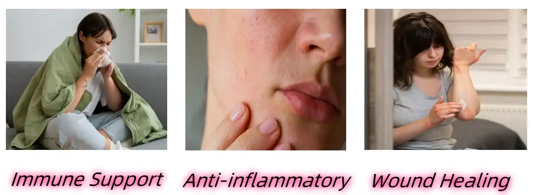 Lichen Extract Functions Lichen Extract Functions