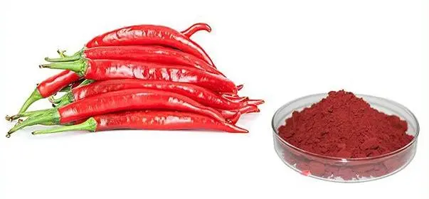 Paprika Extract Paprika Extract
