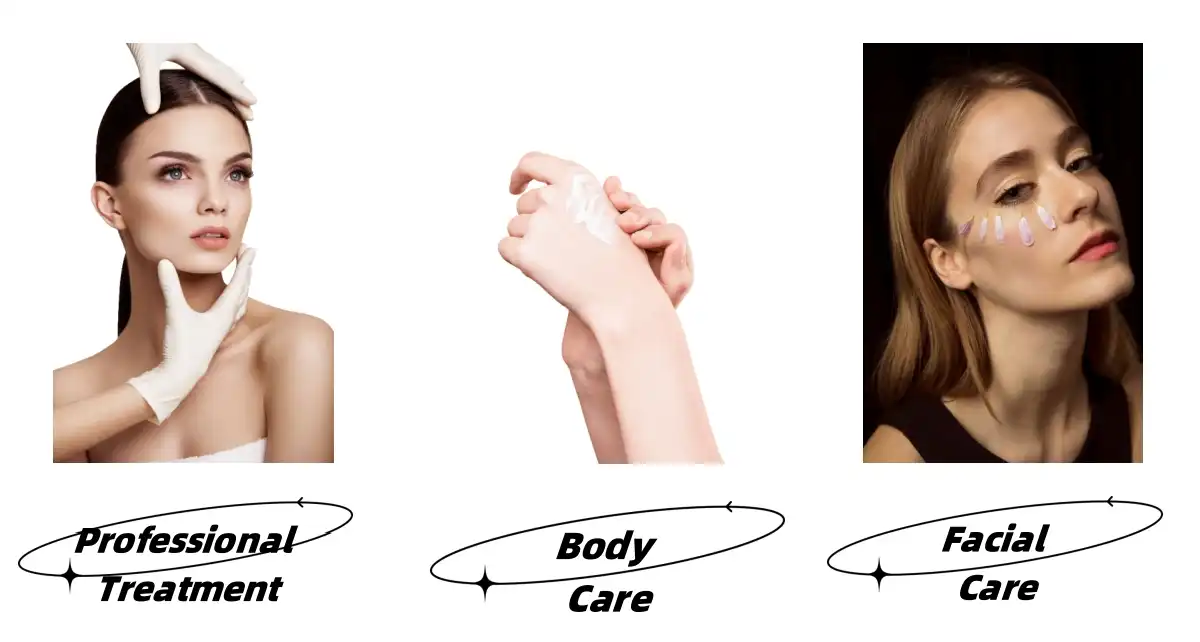 Spongilla Spicule Application Spongilla Spicule Application