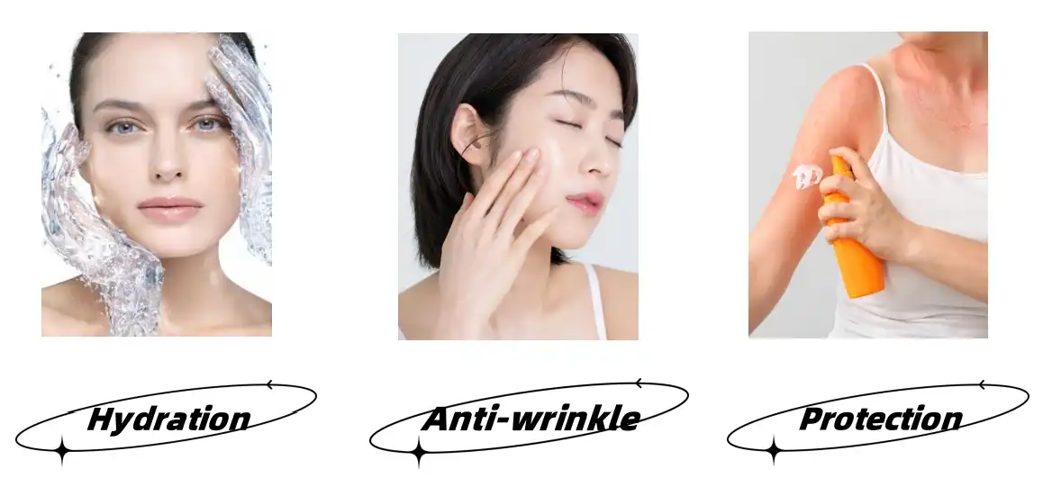 Hydrolyzed Sponge Extract Functions Hydrolyzed Sponge Extract Functions