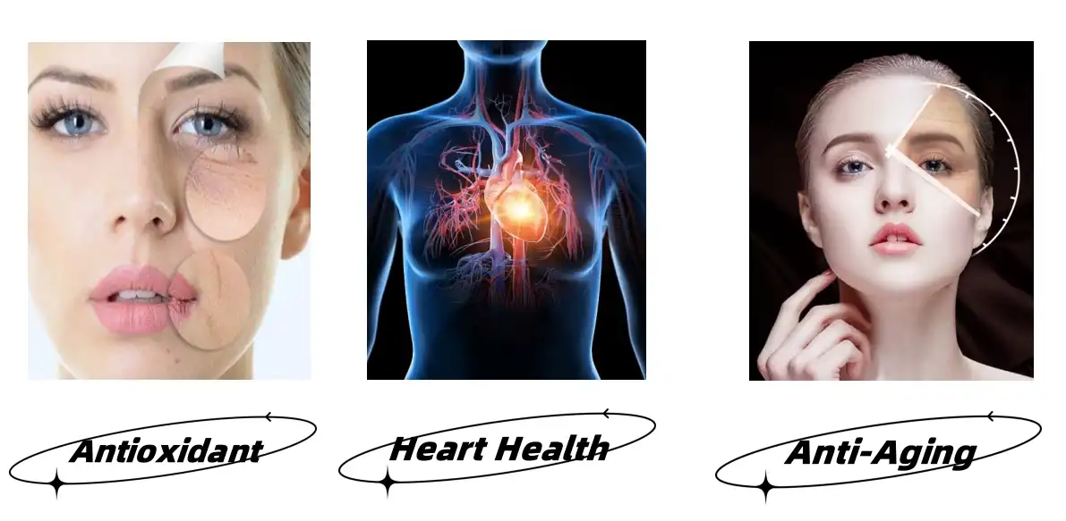 Superoxide Dismutase Powder Functions Superoxide Dismutase Powder Functions