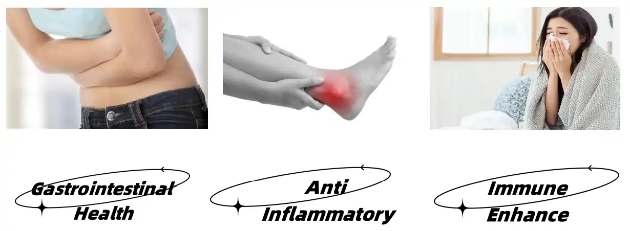 Euglena Gracilis Polysaccharide Functions Euglena Gracilis Polysaccharide Functions
