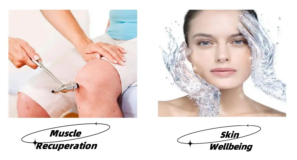 N-Methyl-L-Serine Functions N-Methyl-L-Serine Functions