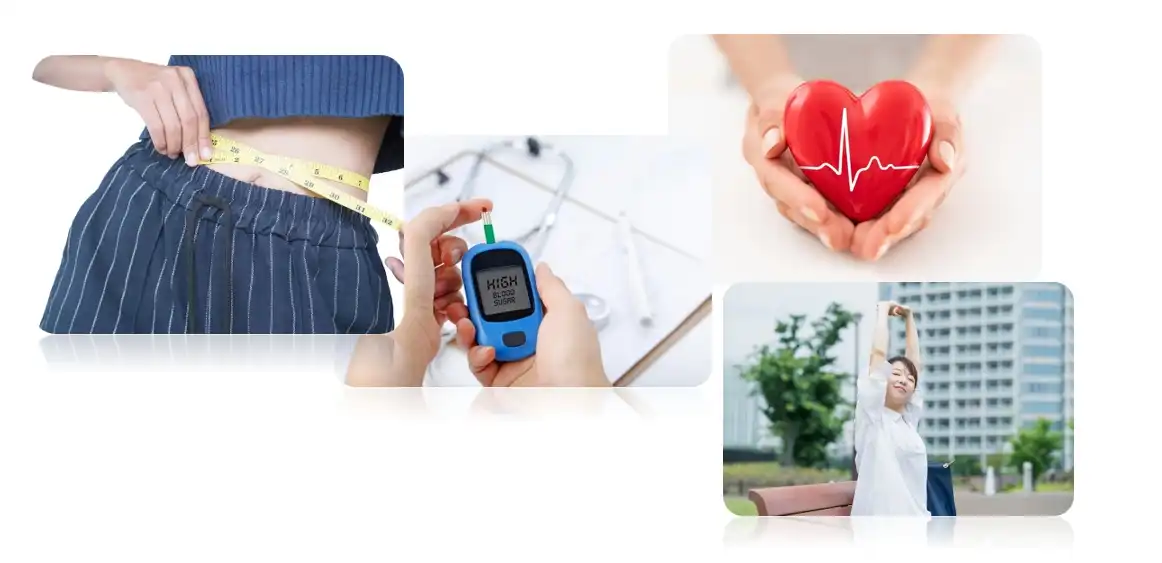 pure hydroxycitric acid  Functions pure hydroxycitric acid  Functions